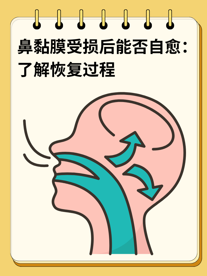 👉鼻黏膜受损后能否自愈：了解恢复过程