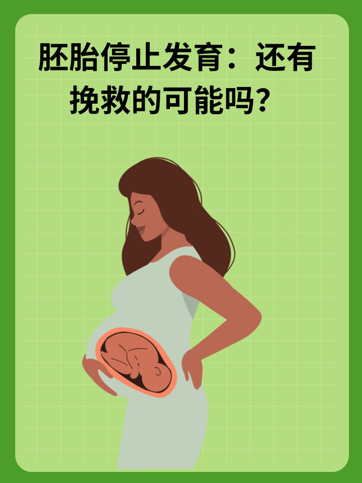 👉胚胎停止发育：还有挽救的可能吗？