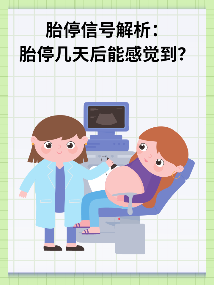 👉胎停信号解析：胎停几天后能感觉到？