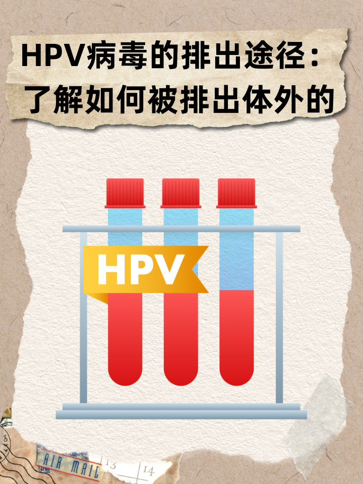 HPV病毒的排出途径：了解如何被排出体外的