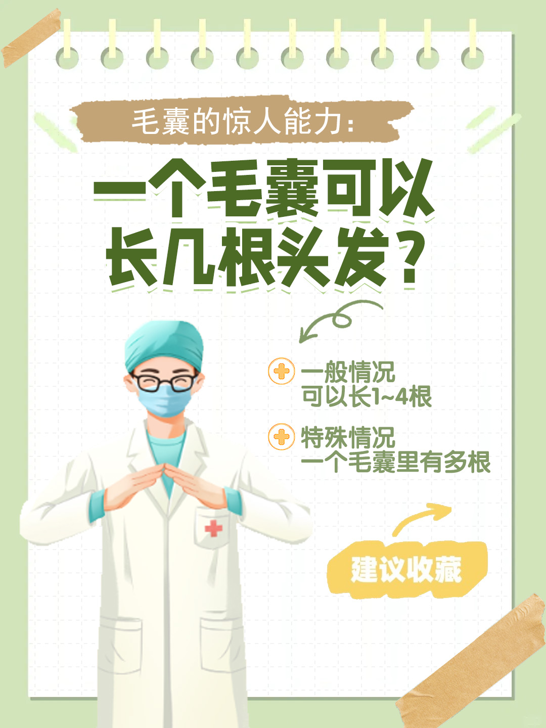 👉毛囊的惊人能力：一个毛囊可以长几根头发？