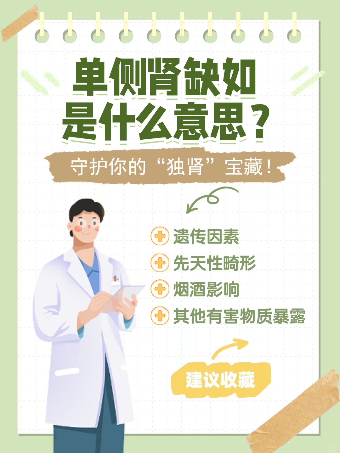 👉单侧肾缺如是什么意思？守护你的“独肾”宝藏！