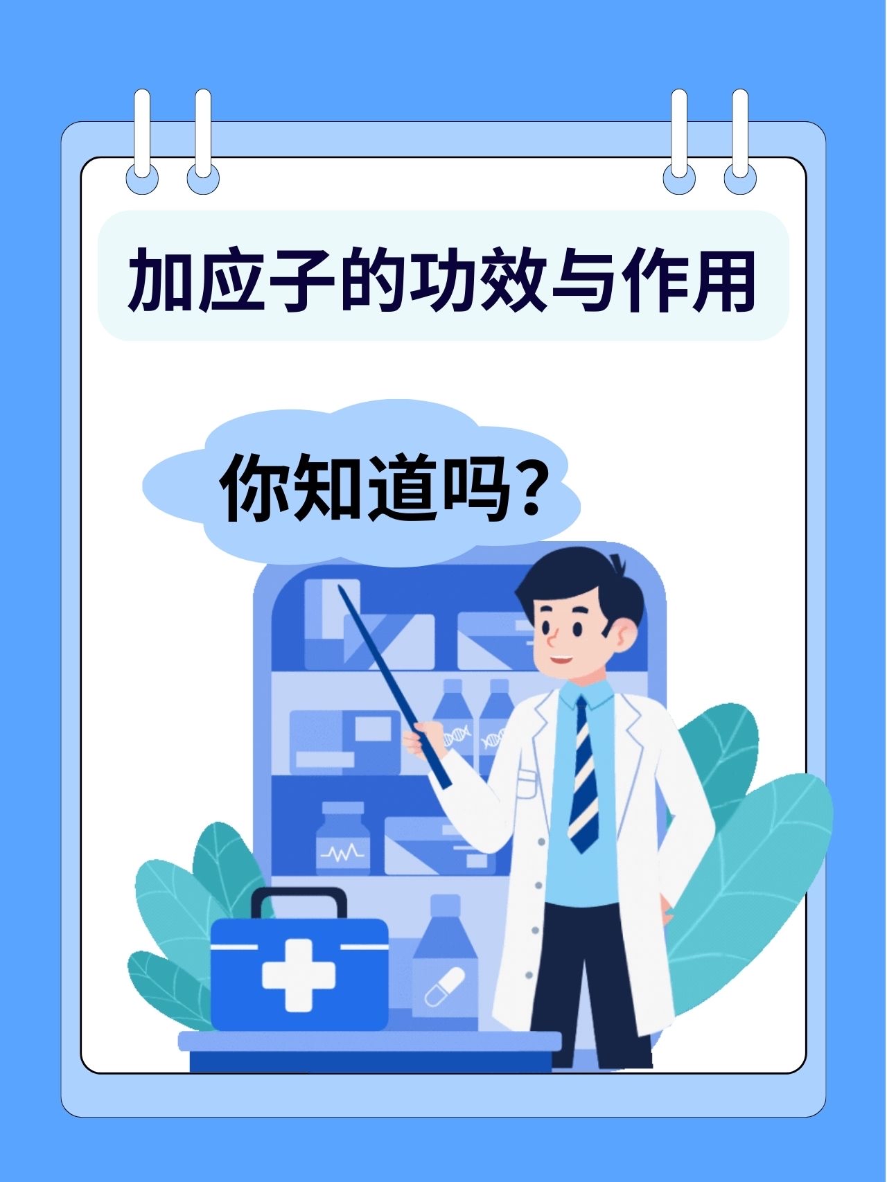 加应子的功效与作用，你知道吗？