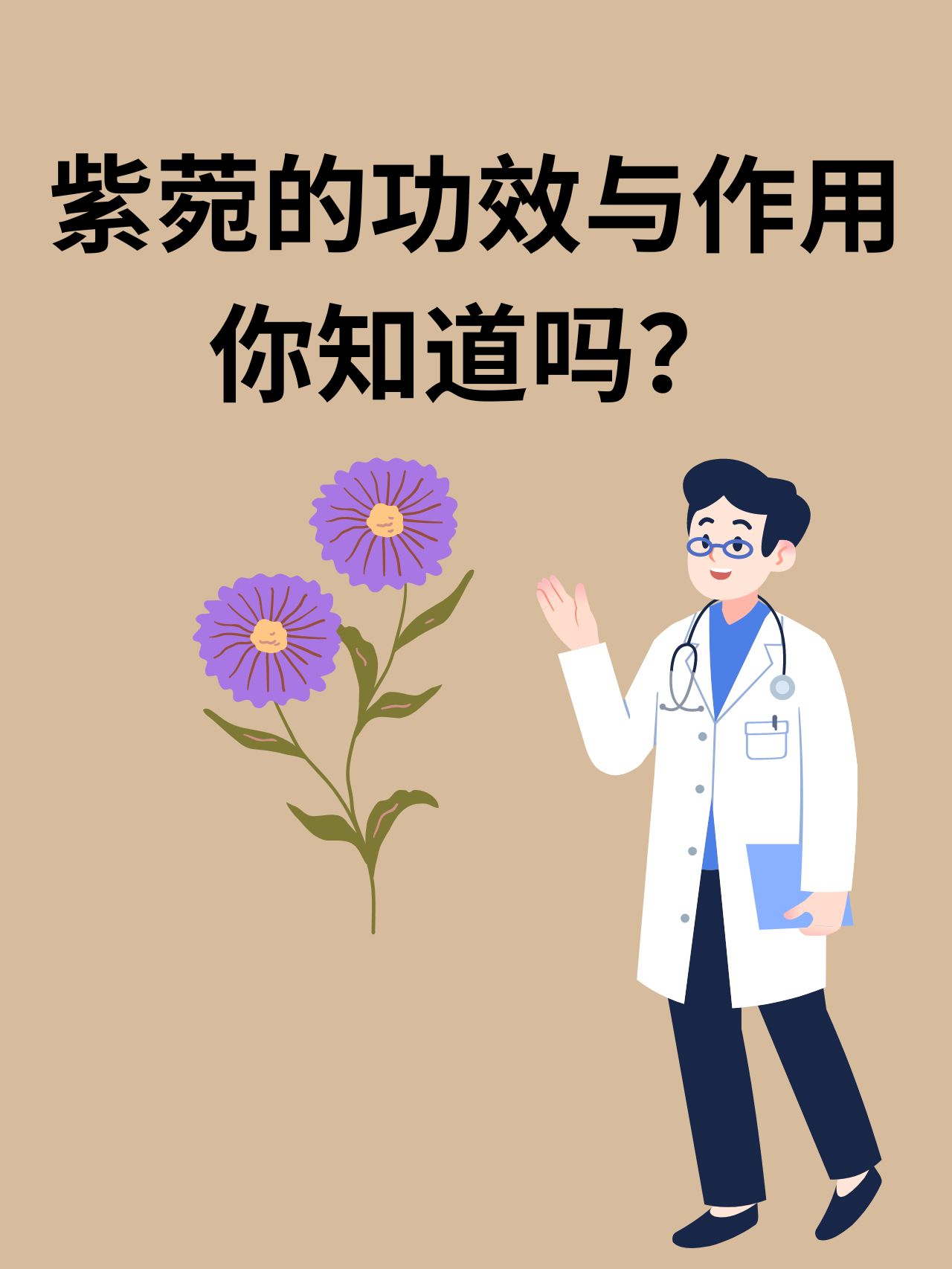 紫菀的功效与作用，你知道吗？