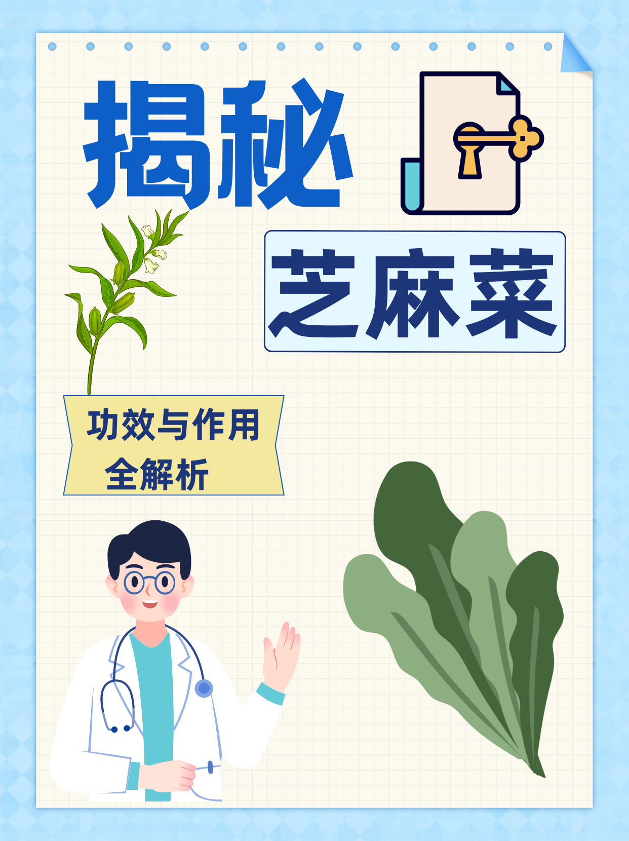 揭秘芝麻菜：功效与作用全解析