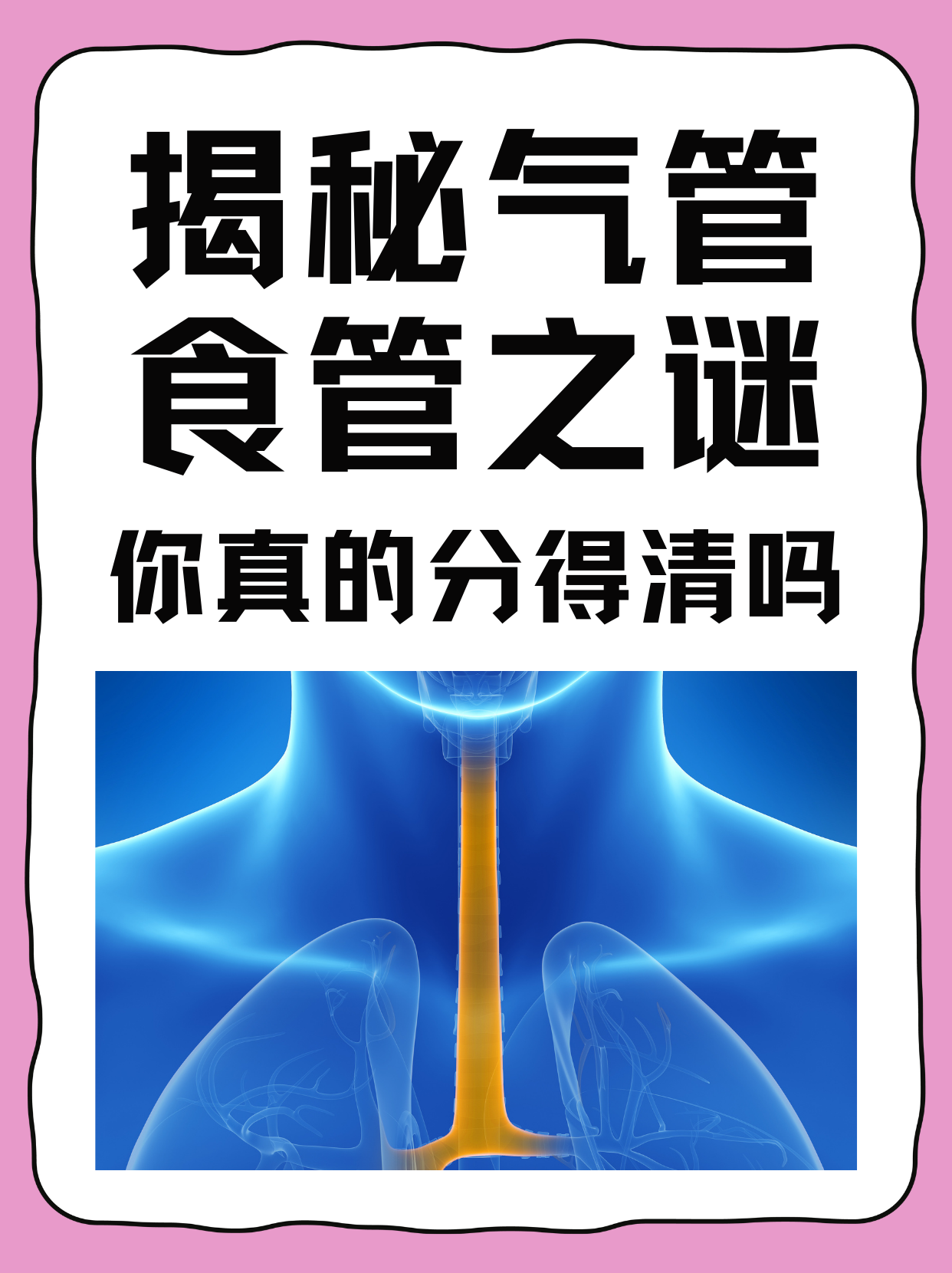 揭秘气管食管之谜，你真的分得清吗？