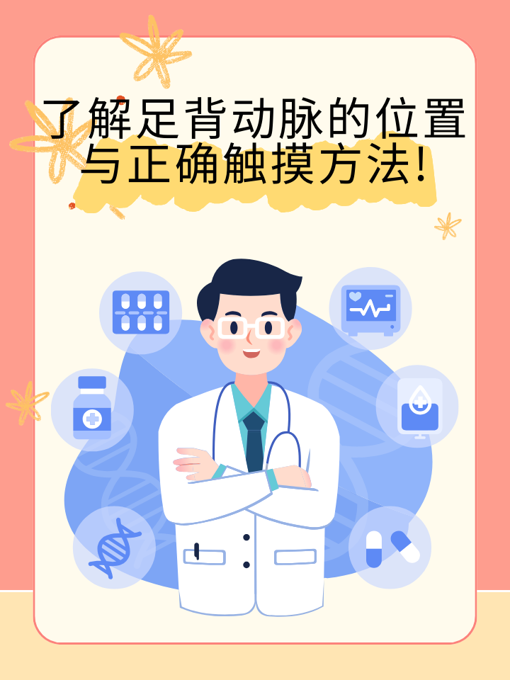 了解足背动脉的位置与正确触摸方法