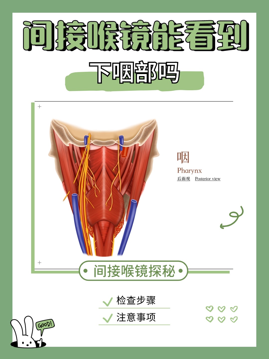 间接喉镜探秘：能否一窥下咽部的真实面貌？