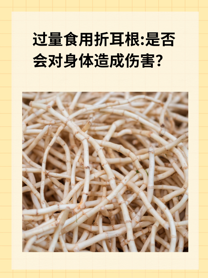 过量食用折耳根:是否会对身体造成伤害？