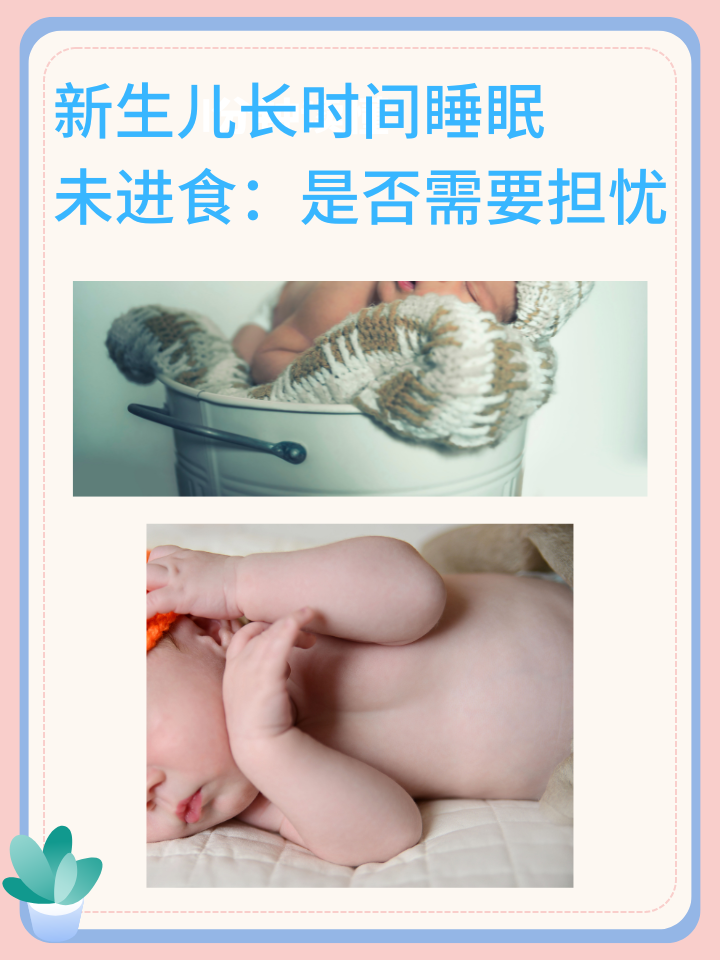 新生儿长时间睡眠未进食：是否需要担忧？