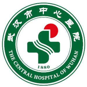 武汉市中心医院