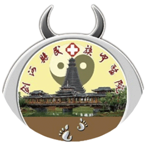 剑河县民族中医院