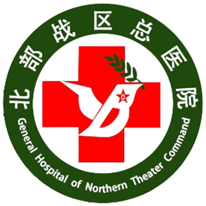 北部战区总医院