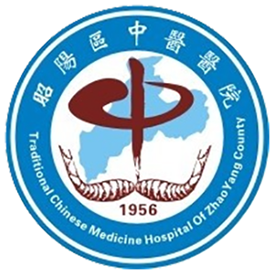 昭阳区中医医院