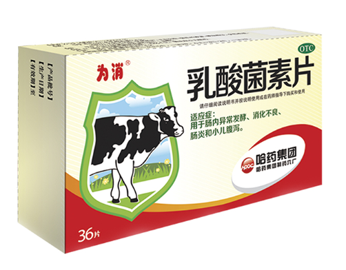 乳酸菌素片