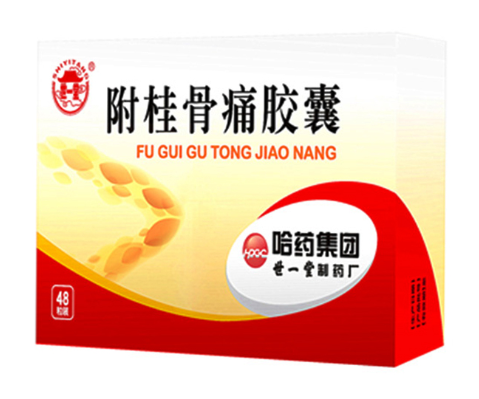 附桂骨痛胶囊