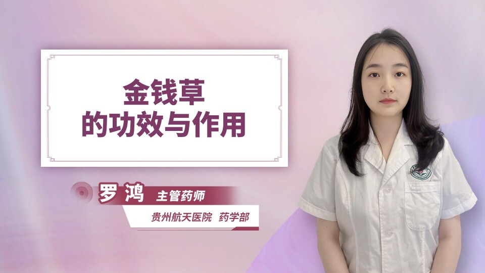 金钱草的功效与作用