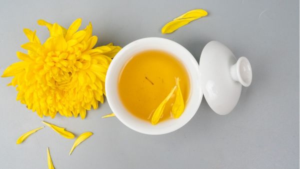 菊皇有什么功效和作用