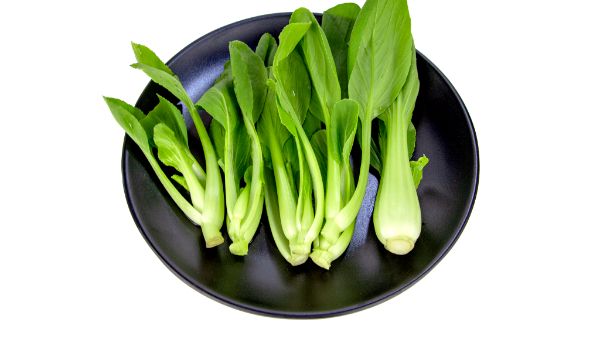 谁不适合吃九肝菜