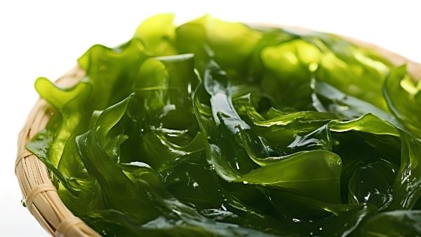 缺乏维生素E有哪些症状