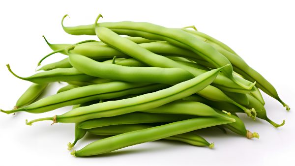 豆角没熟中毒什么症状