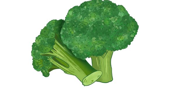 心衰肾衰肝大脾吃什么