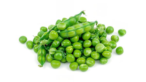 蛇豆不煮熟吃有什么危害