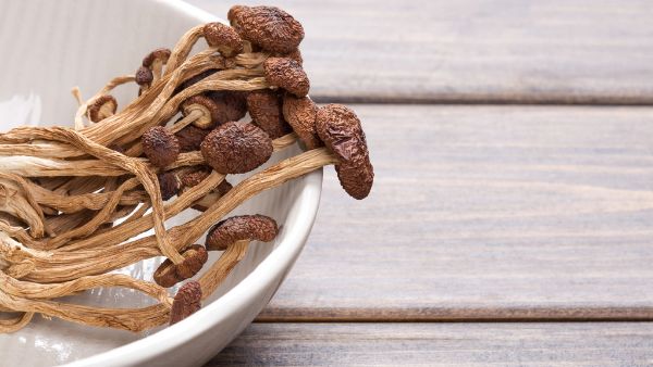 吃茶树菇会过敏吗