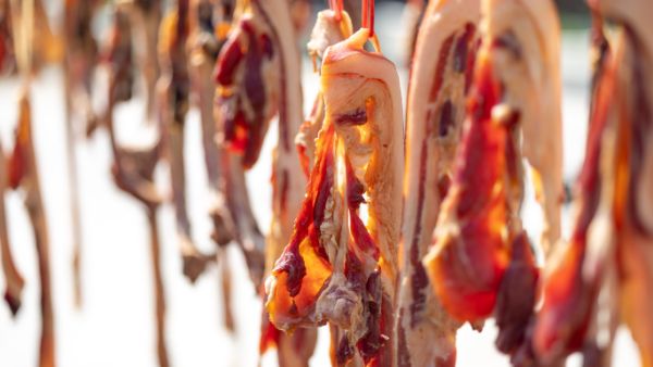 夏天吃鹿肉会生气吗