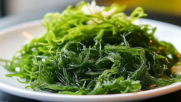 吃护肝片能喝酒吗