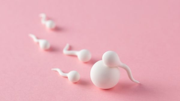精囊炎会影响生育吗