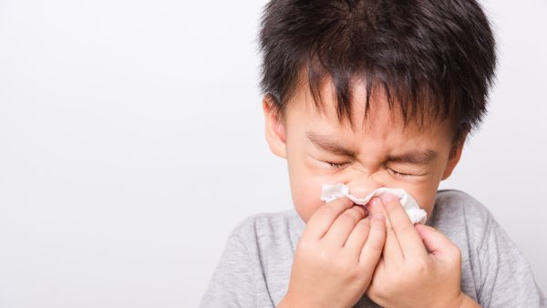 小孩经常流鼻血是什么原因