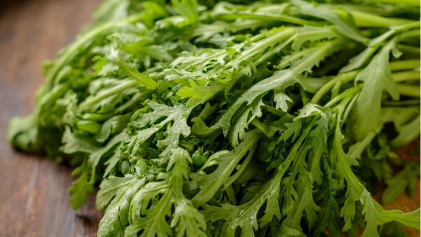 白血皮菜的功效、作用和食用方法有哪些