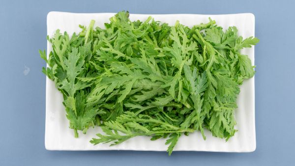 大叶木耳菜的功效