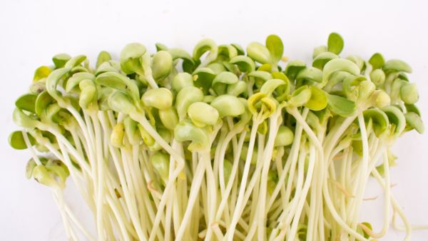 6岁儿童吃的很多老是说饿是怎么回事