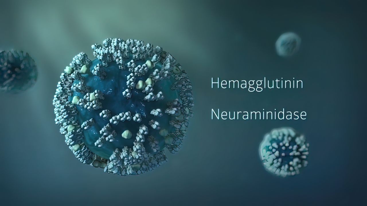 新型冠状病毒感染的后遗症有哪些