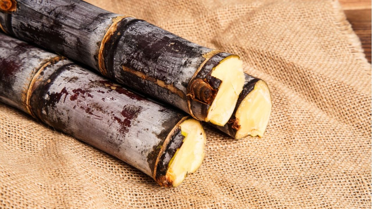 吃甘蔗中毒的症状