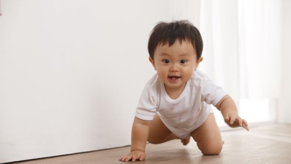 八个月宝宝拉肚子反复发烧怎么办