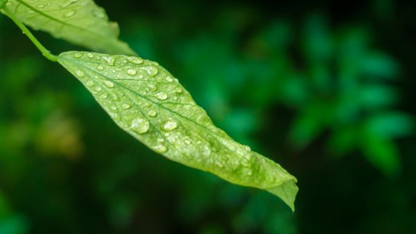 西安白癜风患者：秋雨连绵时的皮肤防护指南