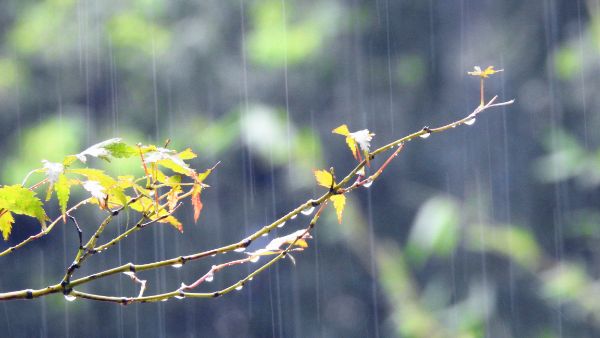 北京秋雨连绵时，白癜风患者的皮肤护理细节
