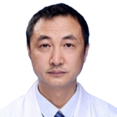 赵戈