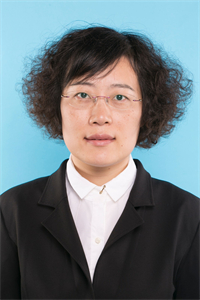 沈岚