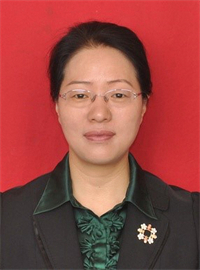 王亚丽