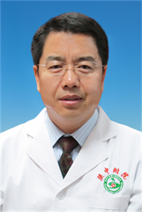 雷政权