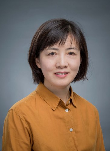 潘晓华