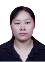 洪杨华