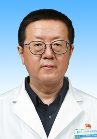 陈狄