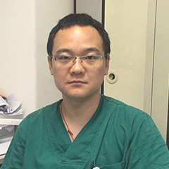 段又佳