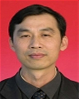 杨少锋