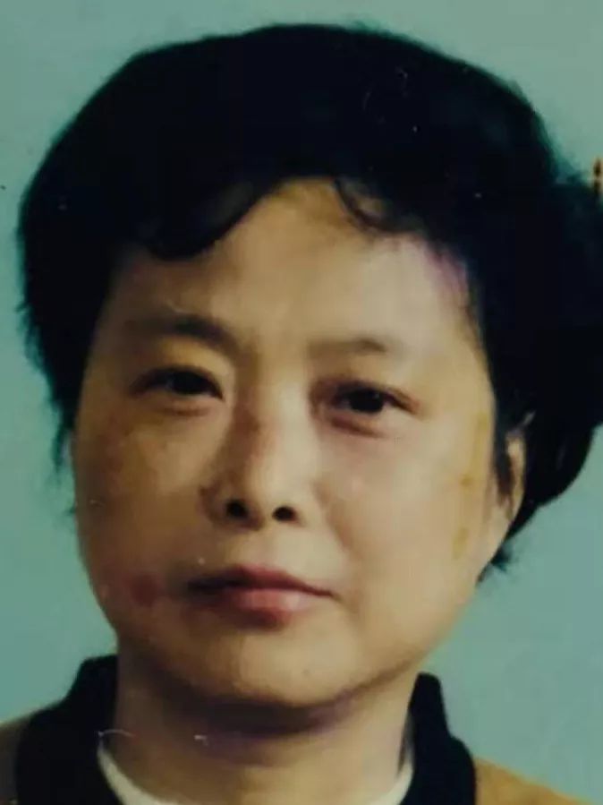 费斯英